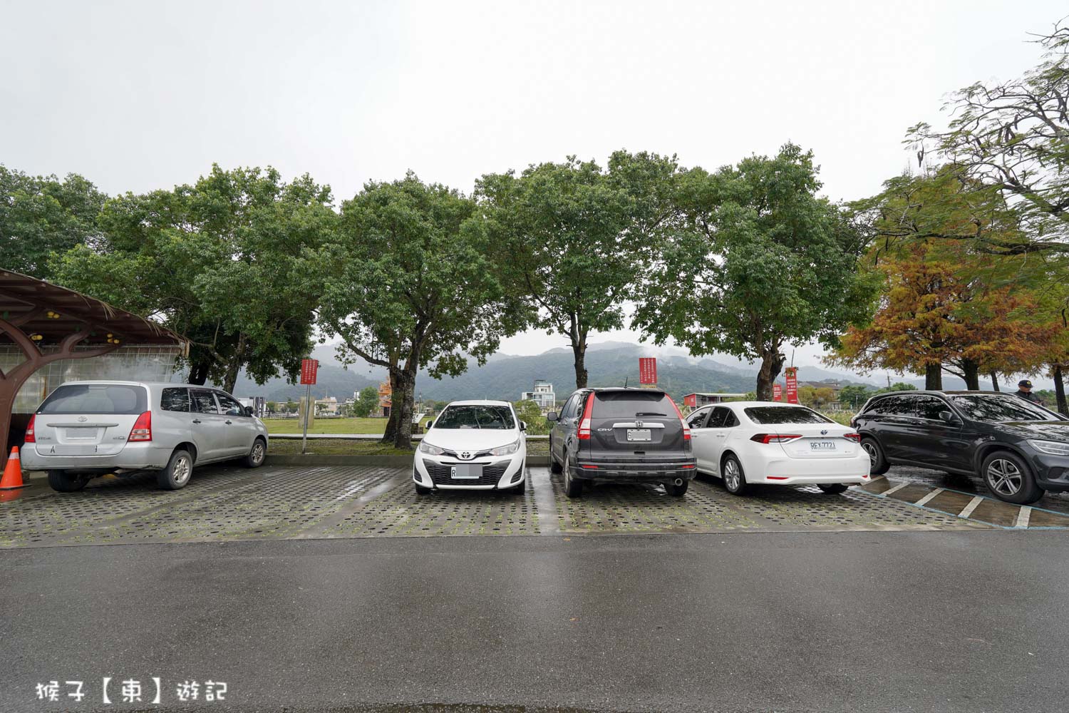 浪漫唯美落羽松大道 2026宜蘭安農溪落羽松最美季節 免費停車 免費入場 最新花況 交通攻略 @猴子【東】遊記 @猴子【東】遊記