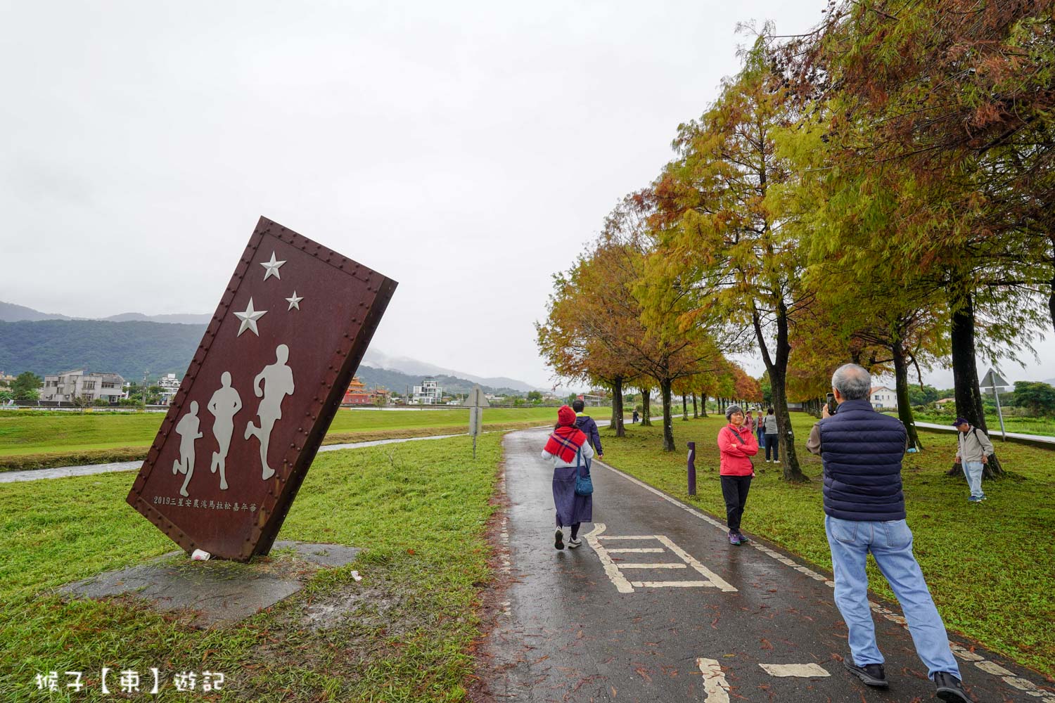 浪漫唯美落羽松大道 2026宜蘭安農溪落羽松最美季節 免費停車 免費入場 最新花況 交通攻略 @猴子【東】遊記 @猴子【東】遊記