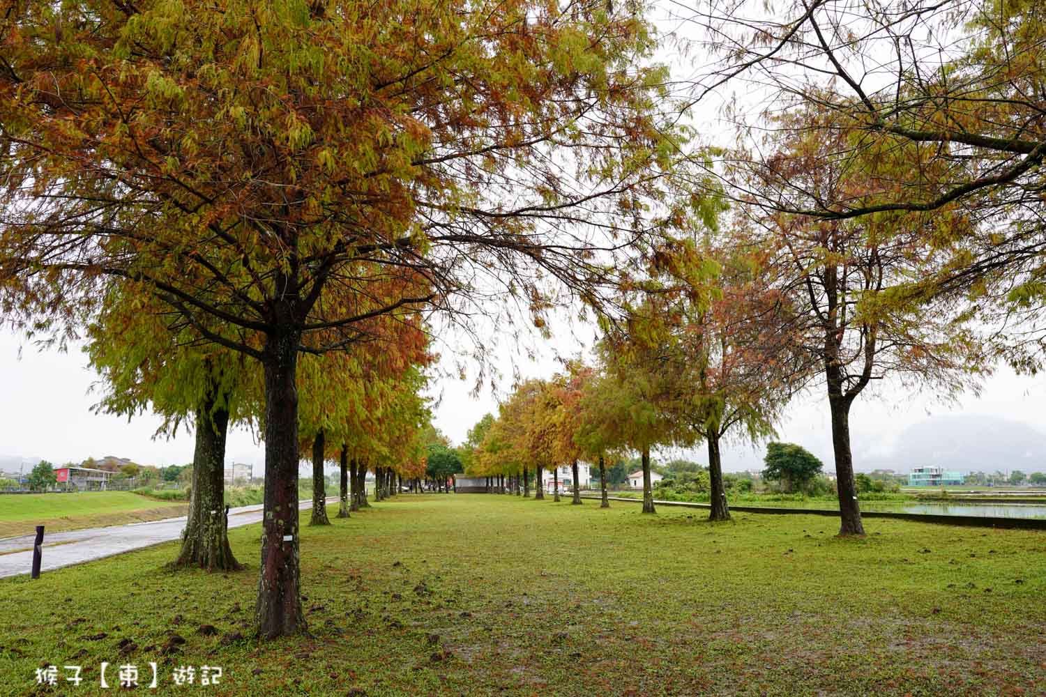  @猴子【東】遊記