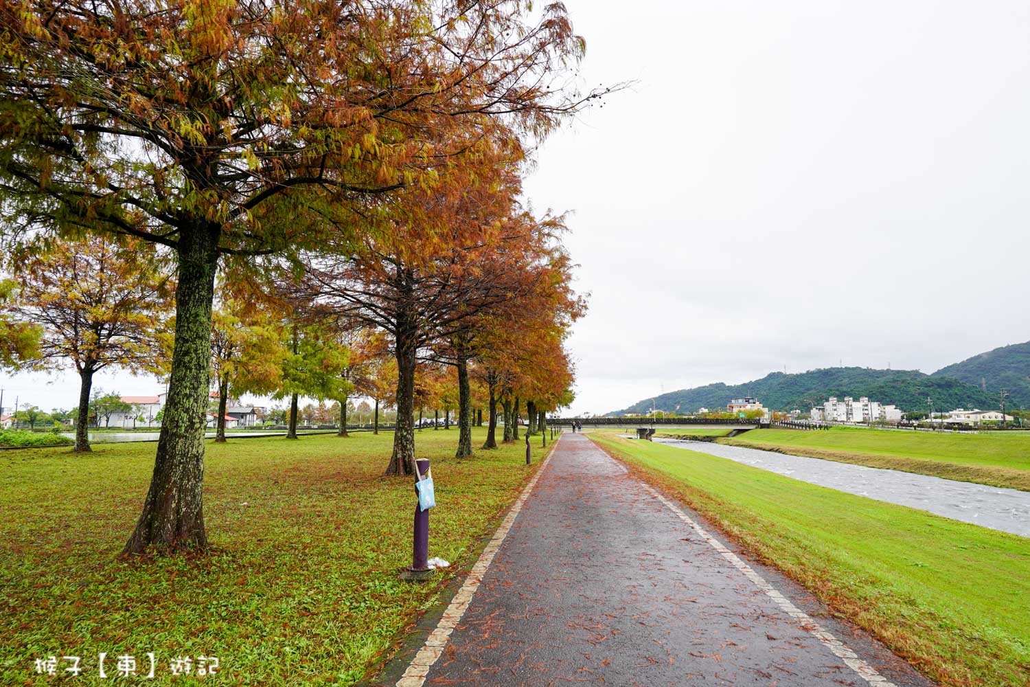  @猴子【東】遊記