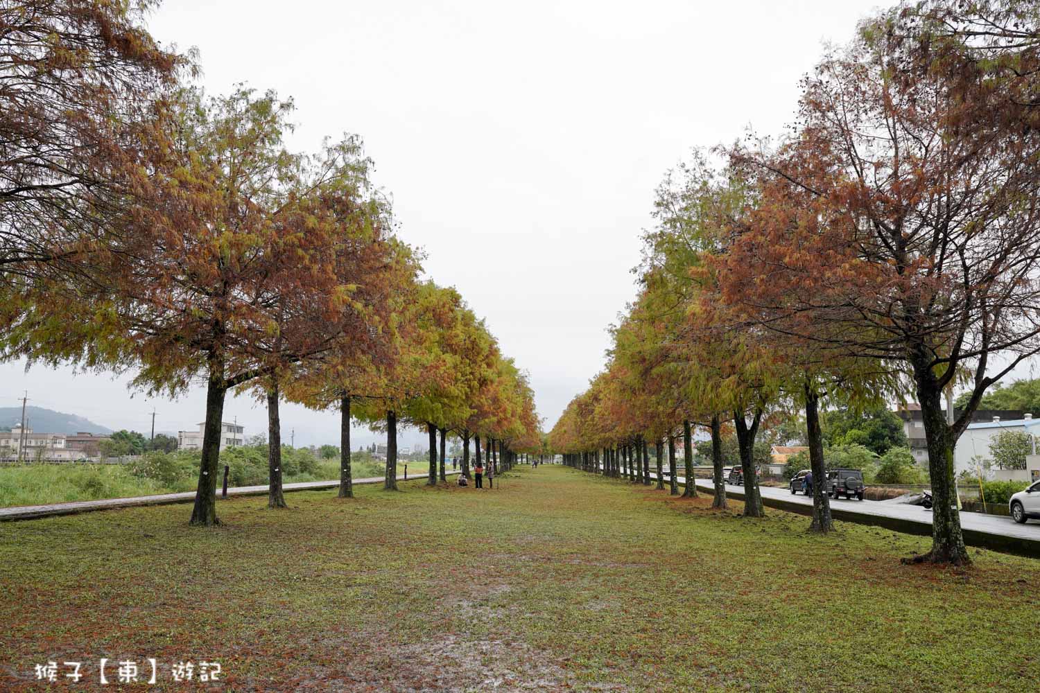  @猴子【東】遊記