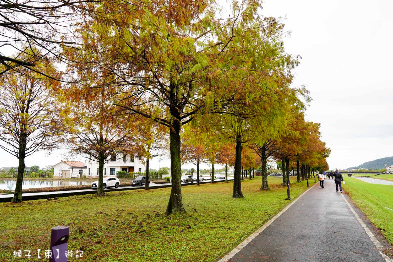  @猴子【東】遊記