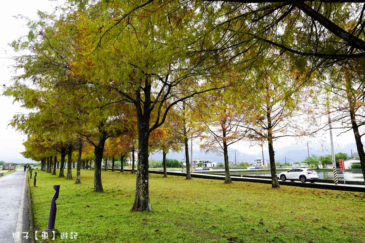  @猴子【東】遊記