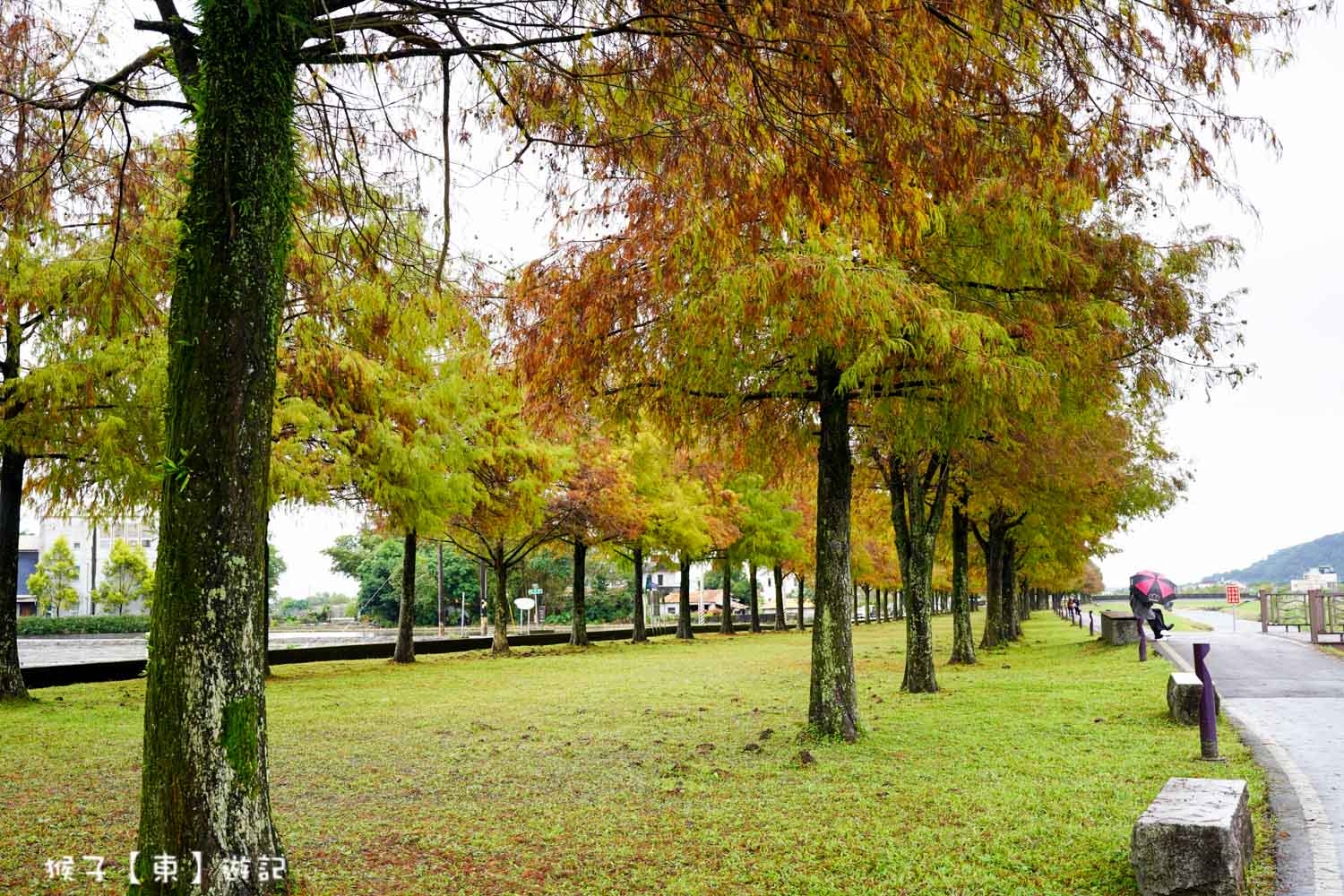  @猴子【東】遊記