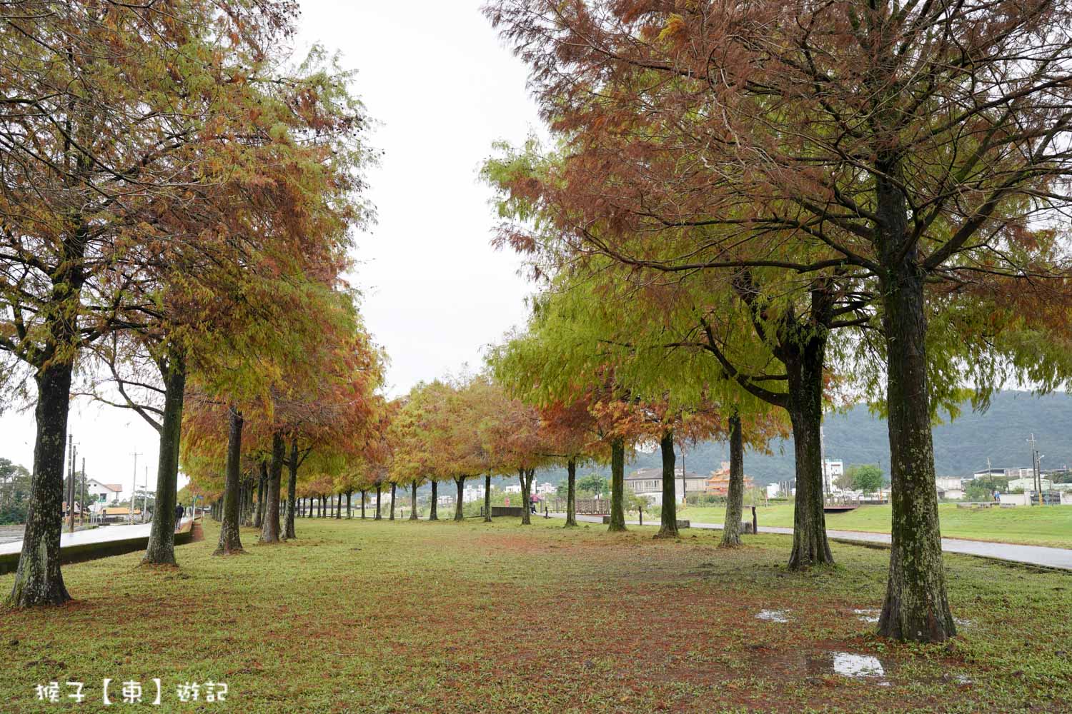  @猴子【東】遊記