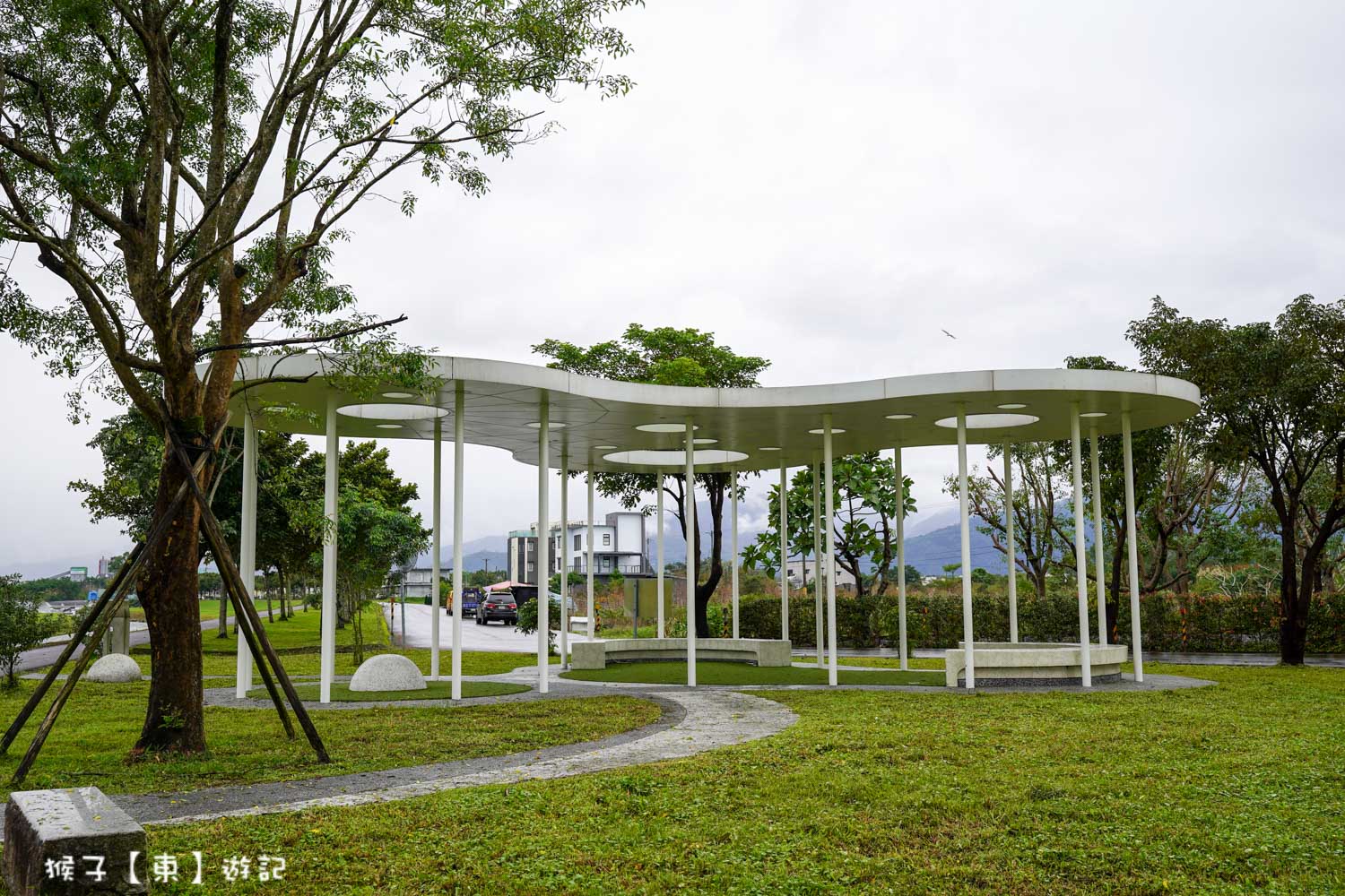 浪漫唯美落羽松大道 2026宜蘭安農溪落羽松最美季節 免費停車 免費入場 最新花況 交通攻略 @猴子【東】遊記 @猴子【東】遊記