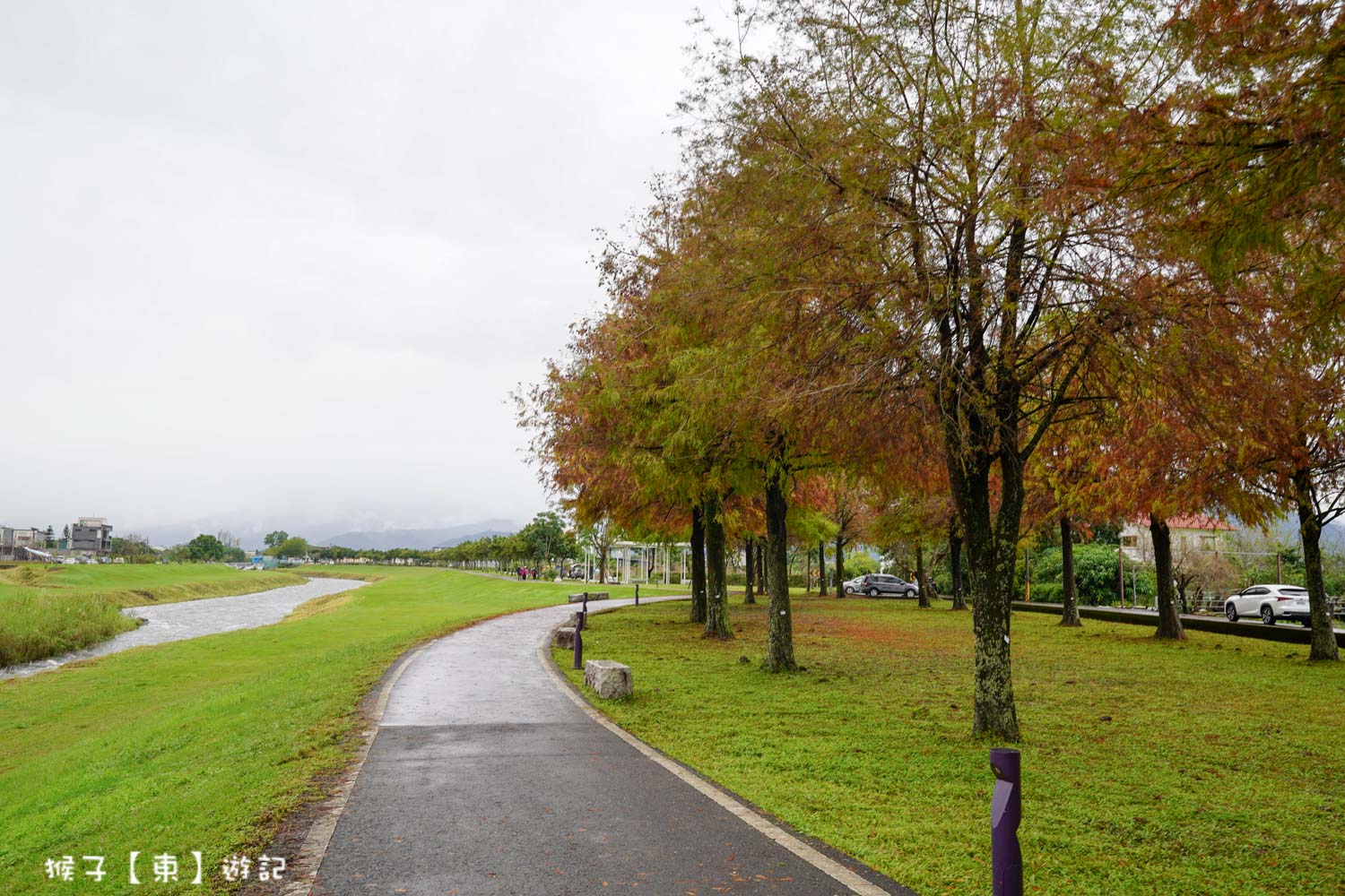 浪漫唯美落羽松大道 2026宜蘭安農溪落羽松最美季節 免費停車 免費入場 最新花況 交通攻略 @猴子【東】遊記 @猴子【東】遊記