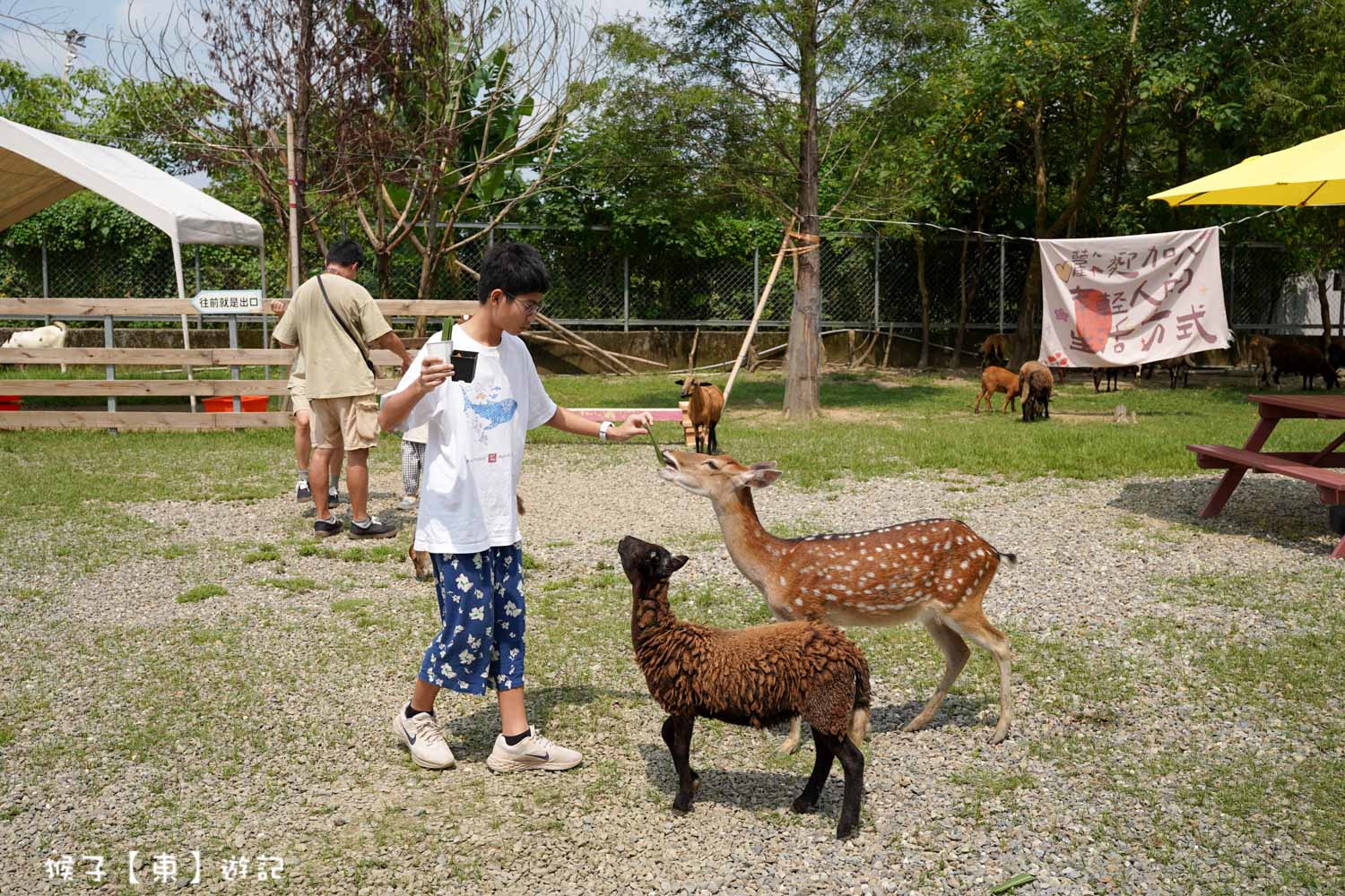  @猴子【東】遊記