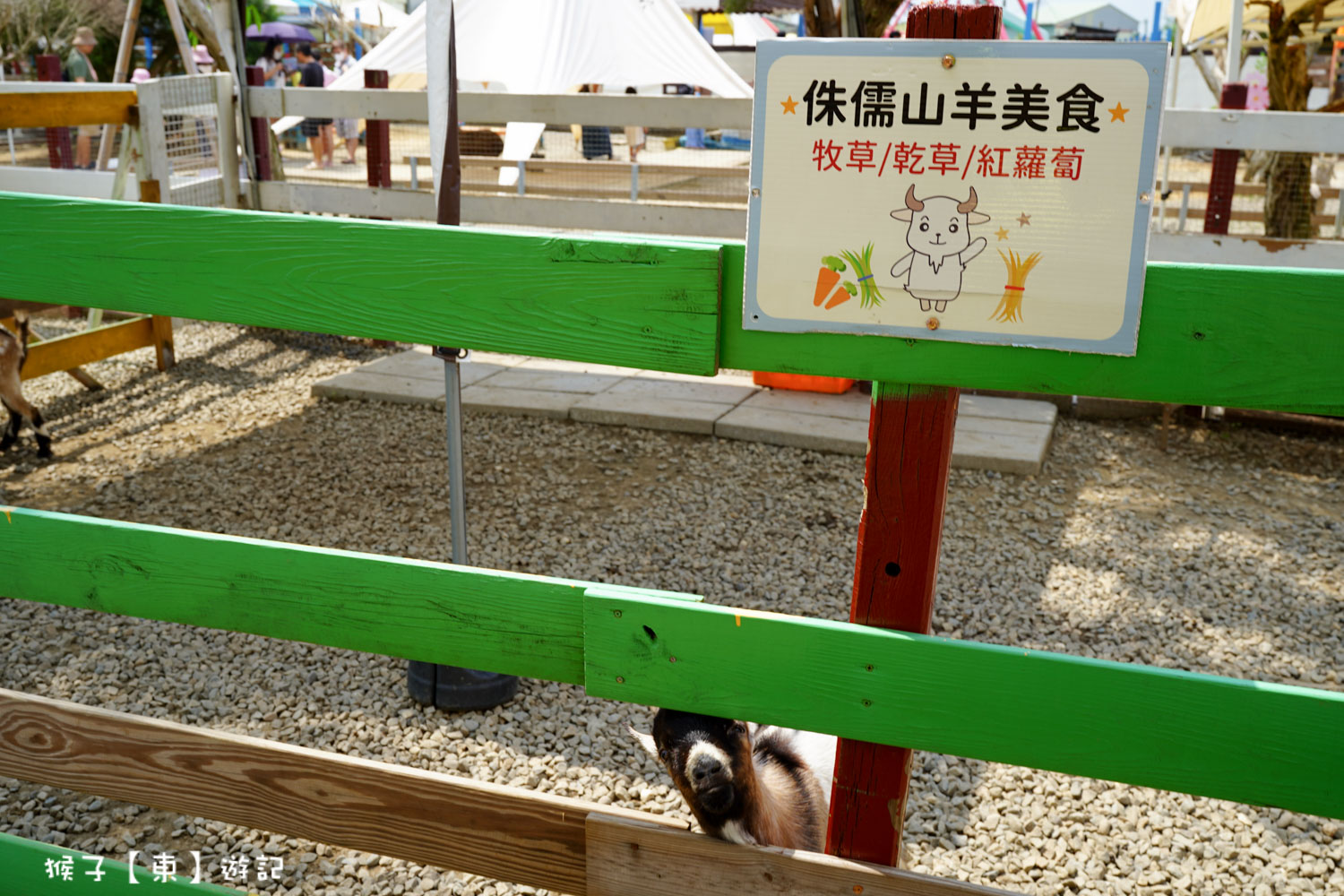  @猴子【東】遊記