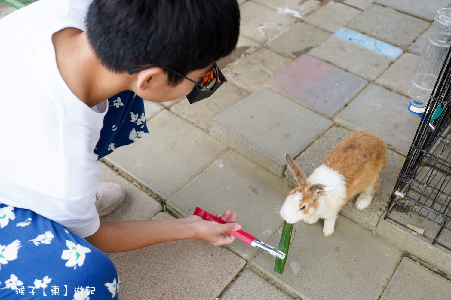  @猴子【東】遊記