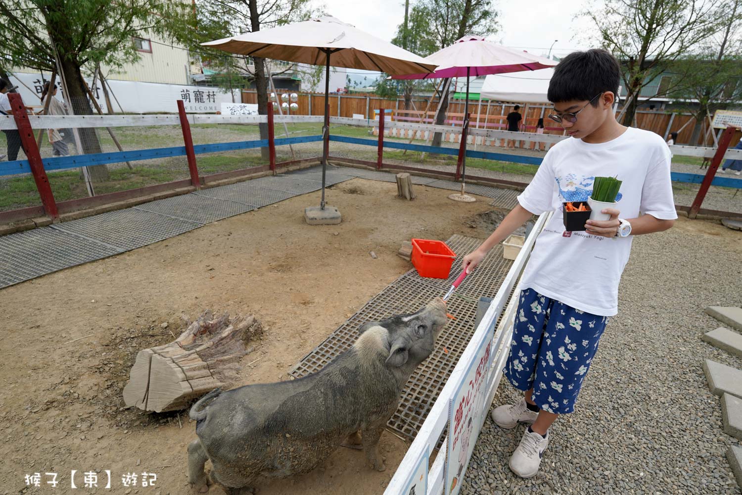  @猴子【東】遊記