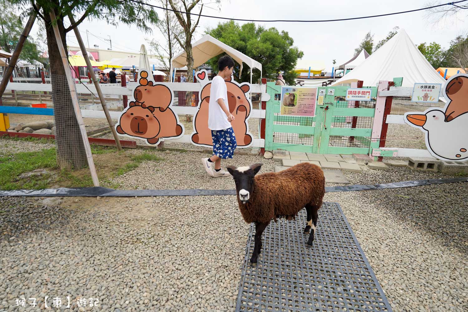  @猴子【東】遊記