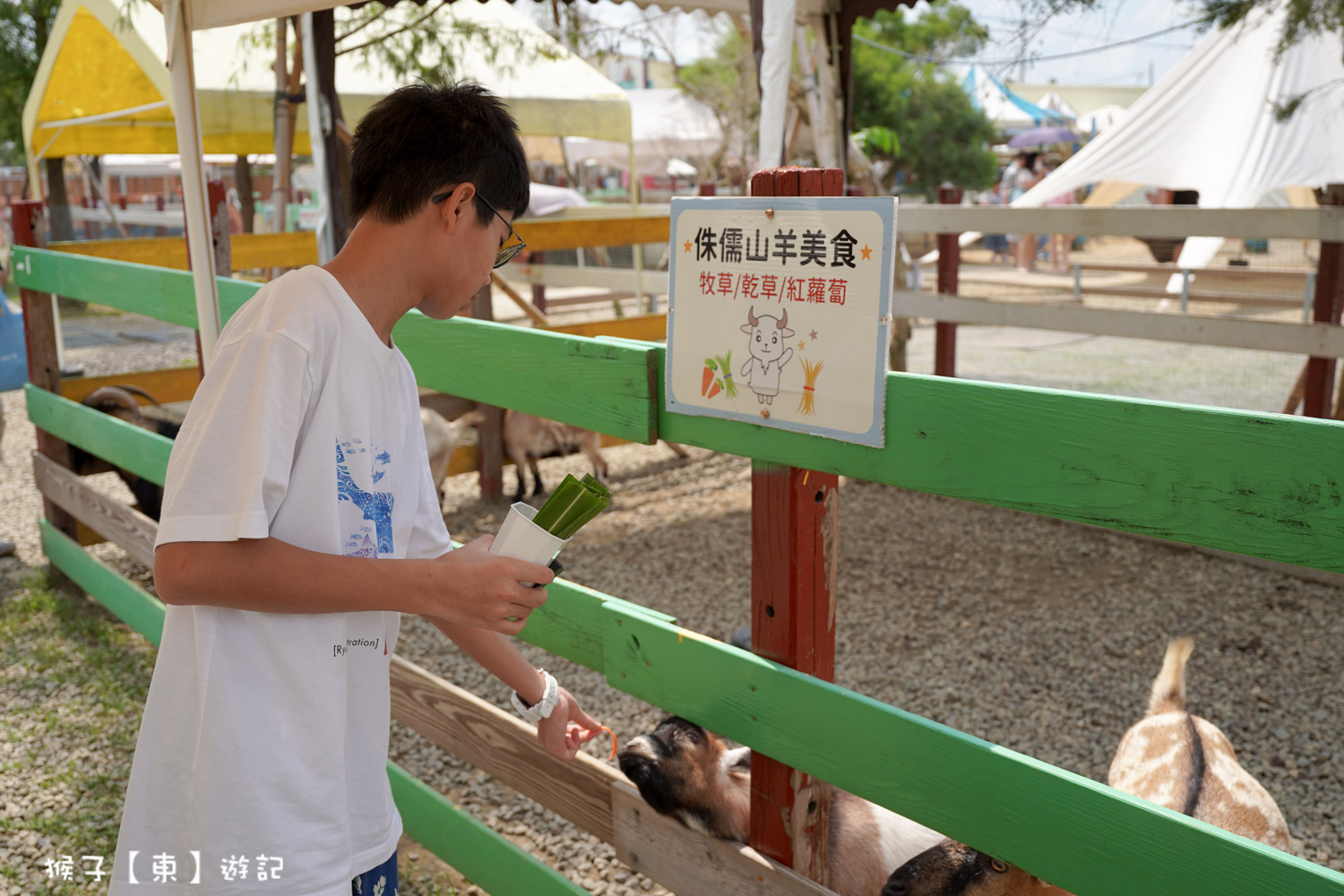  @猴子【東】遊記