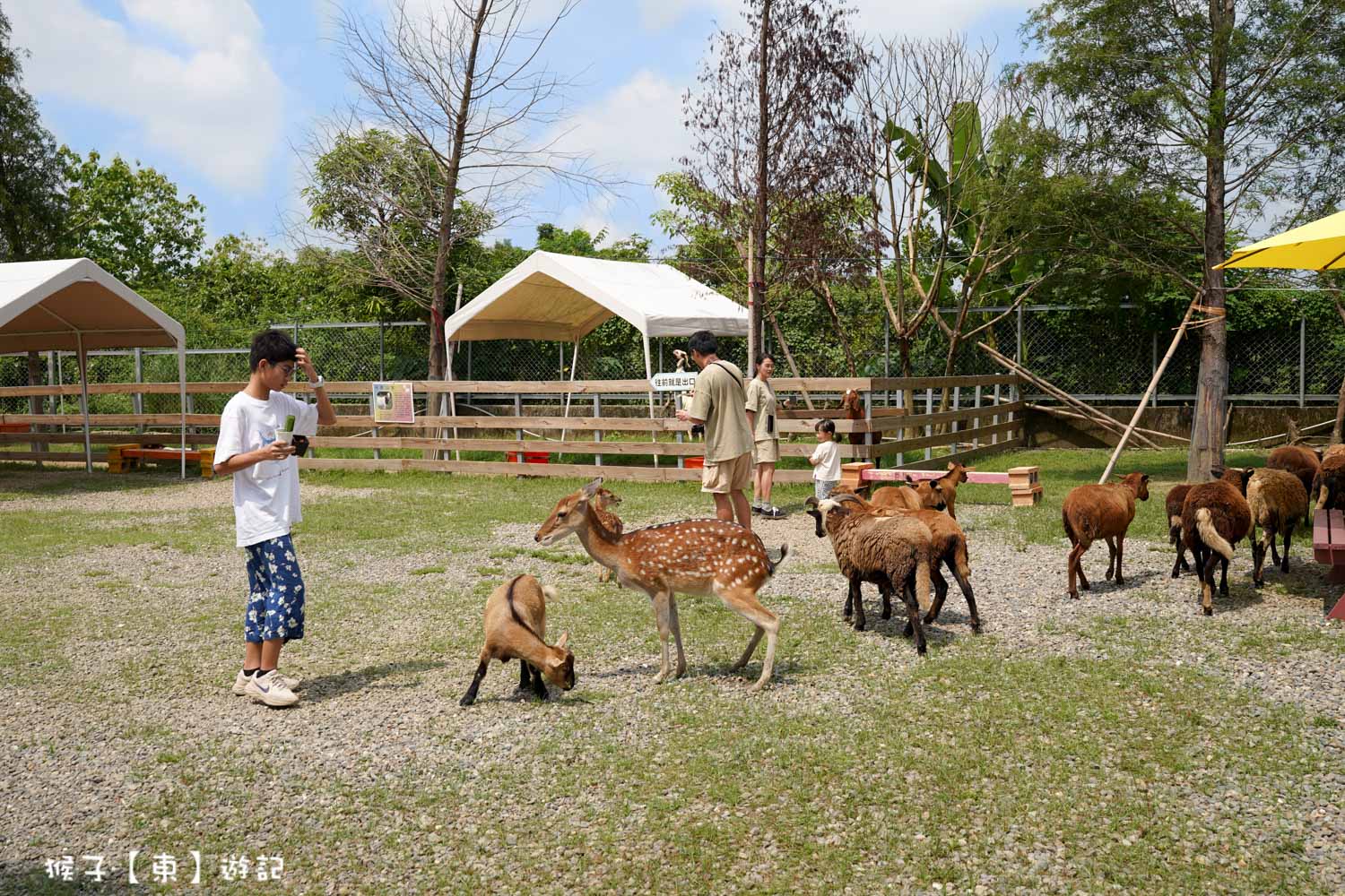 @猴子【東】遊記