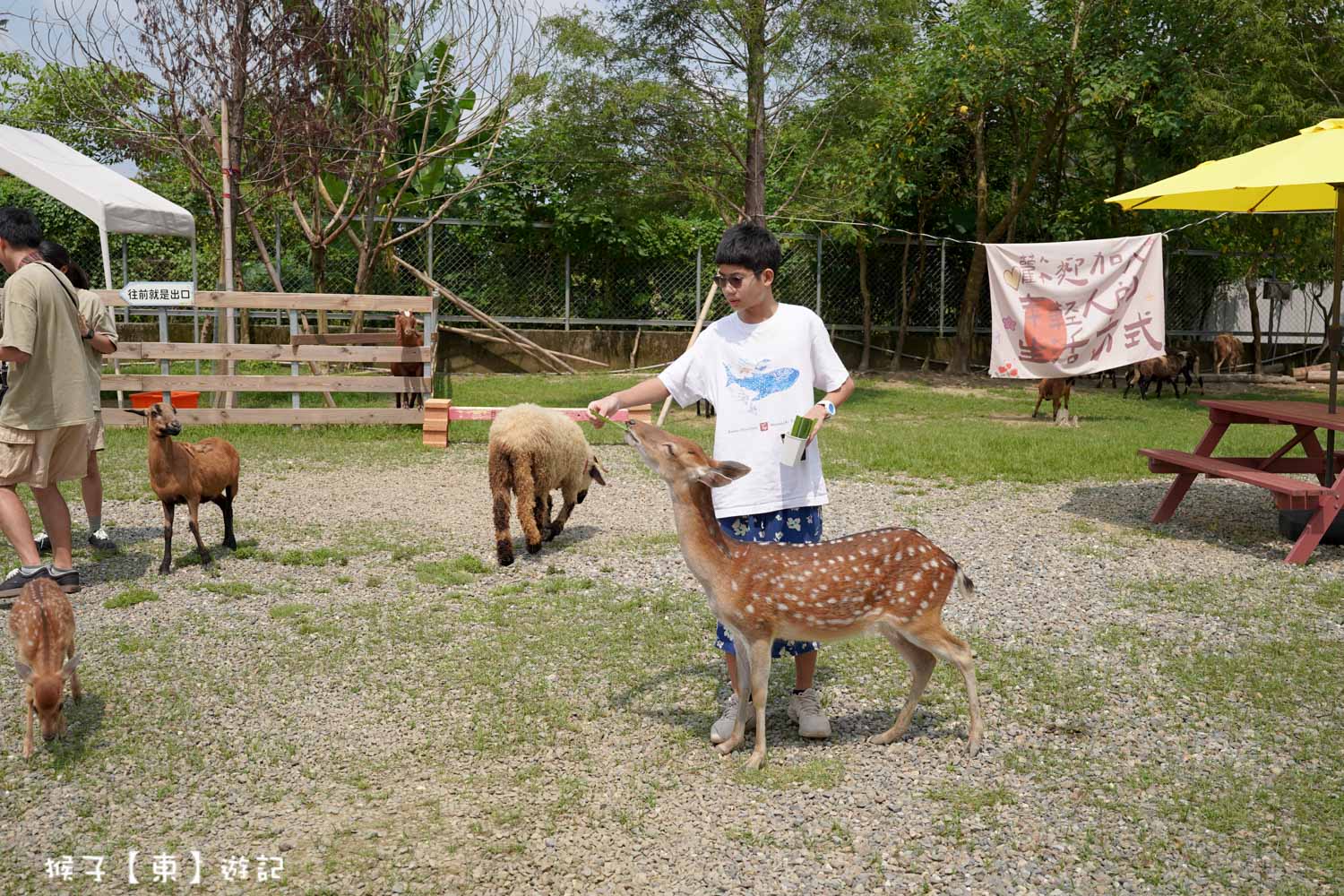  @猴子【東】遊記
