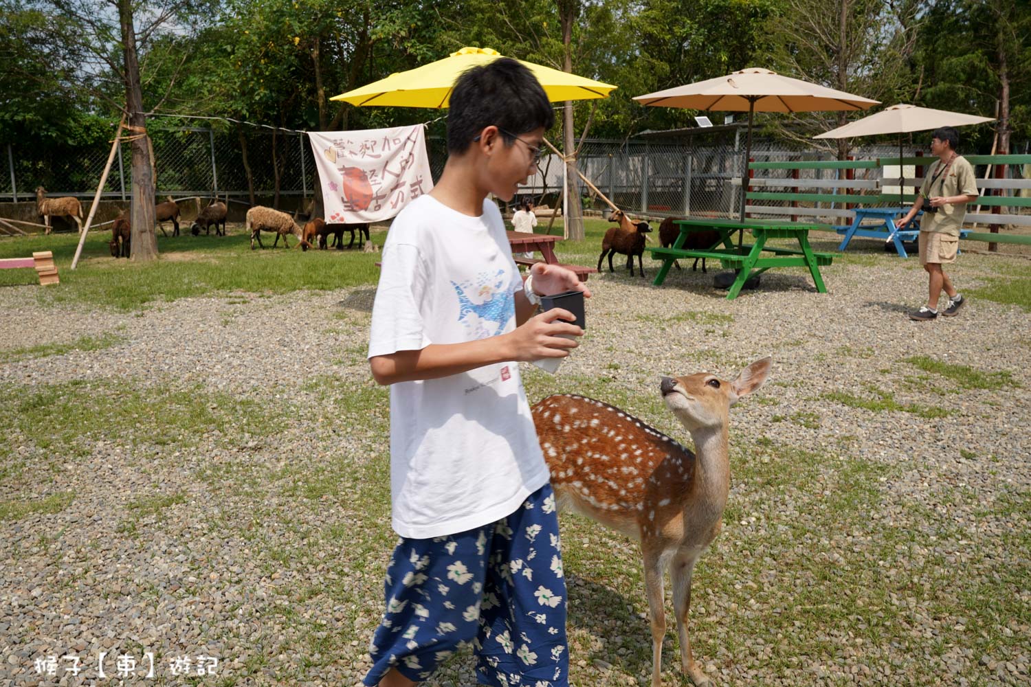  @猴子【東】遊記