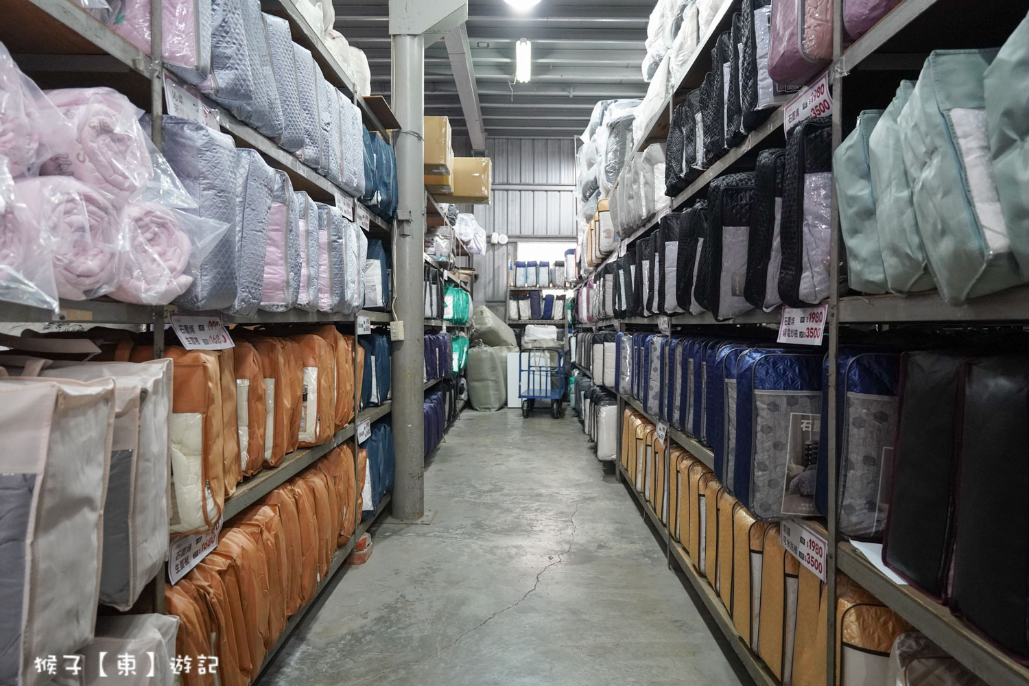  @猴子【東】遊記