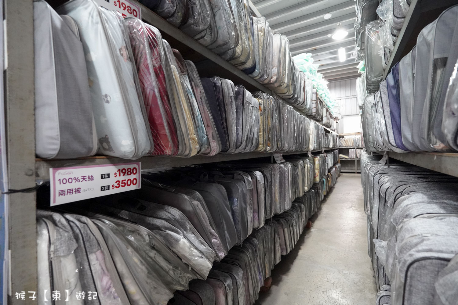  @猴子【東】遊記