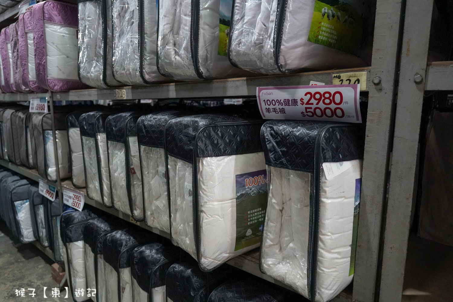  @猴子【東】遊記