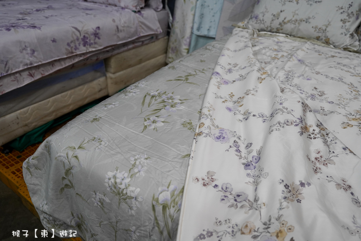  @猴子【東】遊記