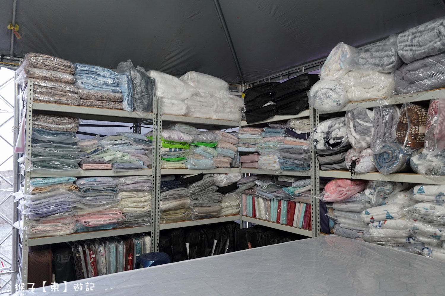  @猴子【東】遊記