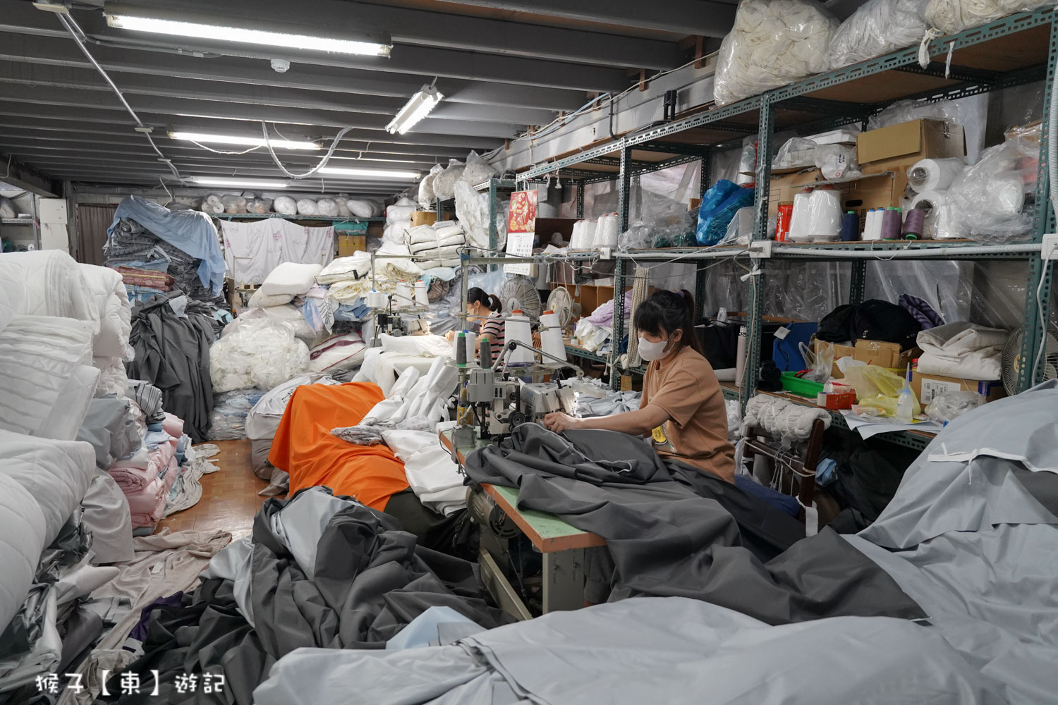  @猴子【東】遊記