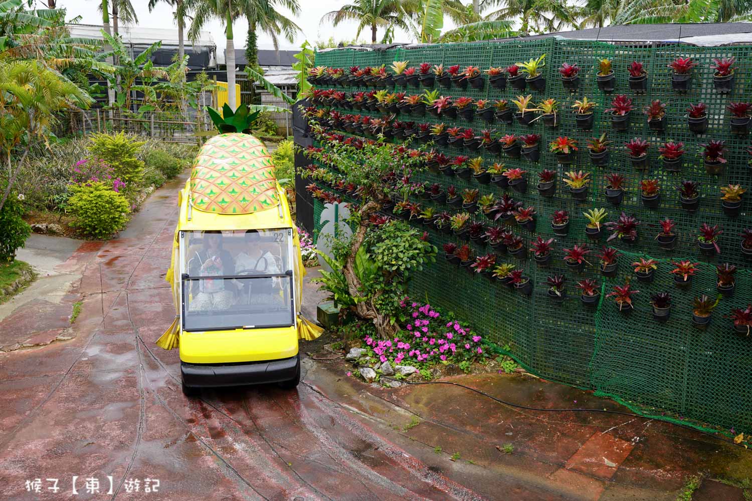 網站近期文章：[日本] 2026沖繩親子景點 名護鳳梨園 搭鳳梨電動車遊園 恐龍世界探險 雨天備案 比想像中好玩