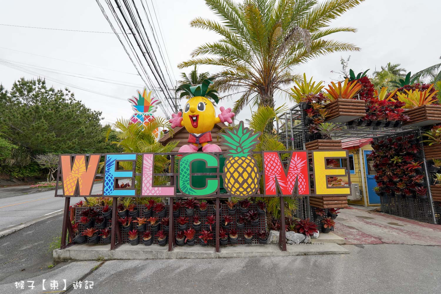  @猴子【東】遊記