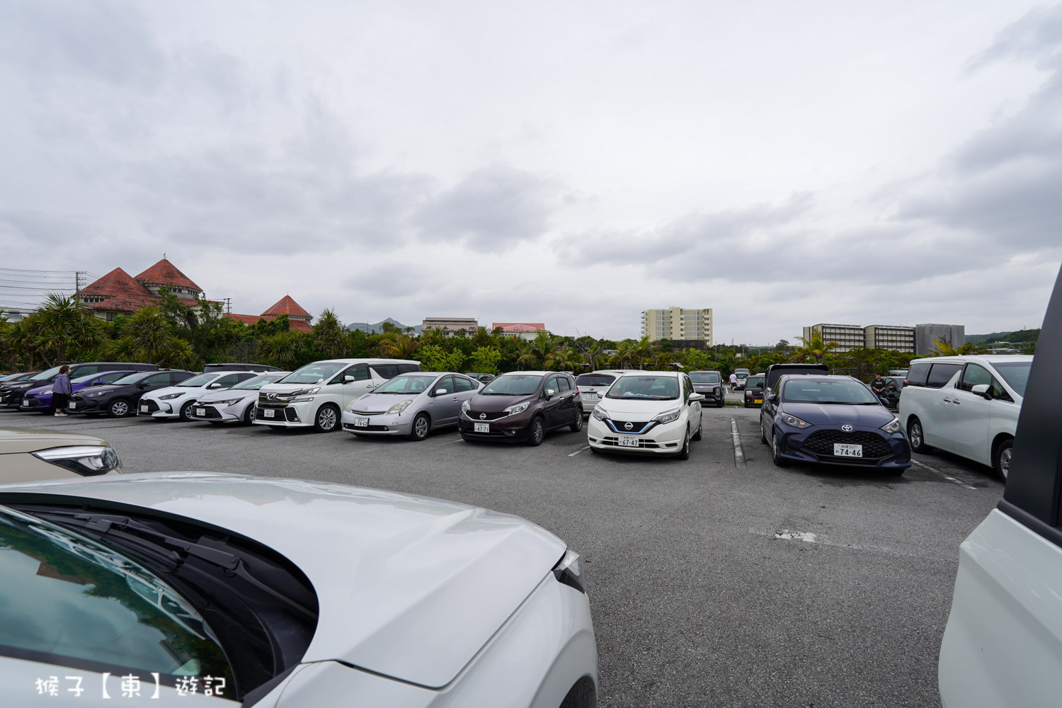 名護鳳梨園 停車場