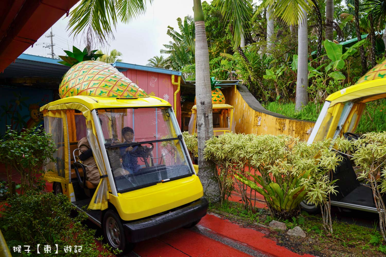 名護鳳梨園 電動鳳梨車