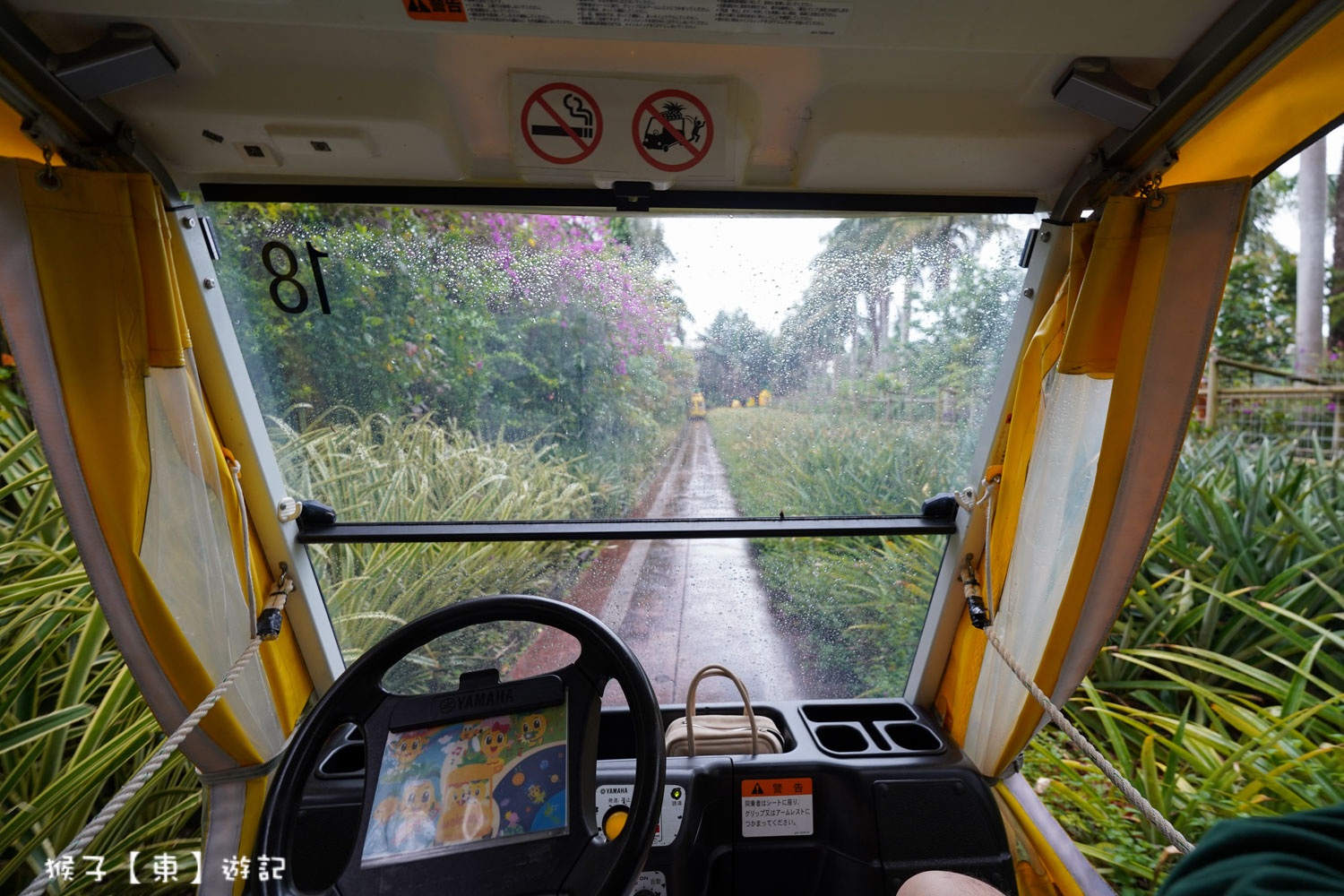 名護鳳梨園 電動鳳梨車