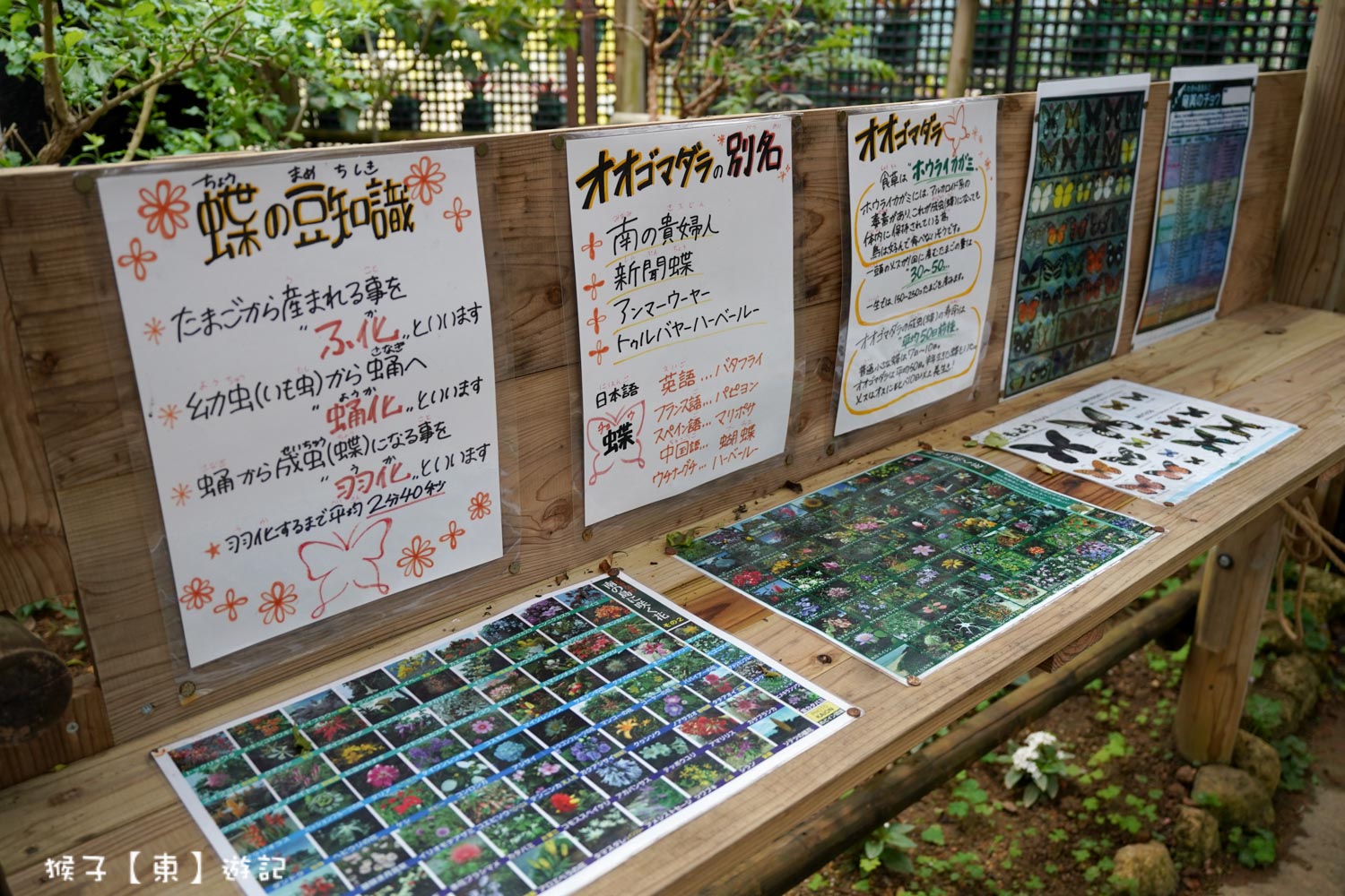  @猴子【東】遊記