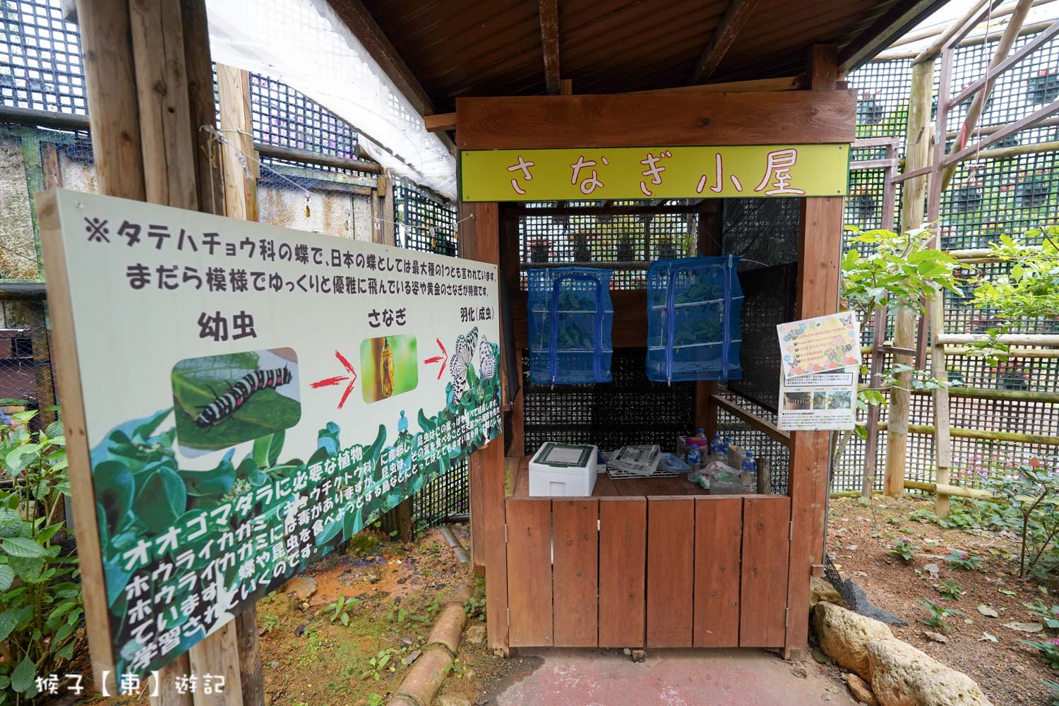  @猴子【東】遊記