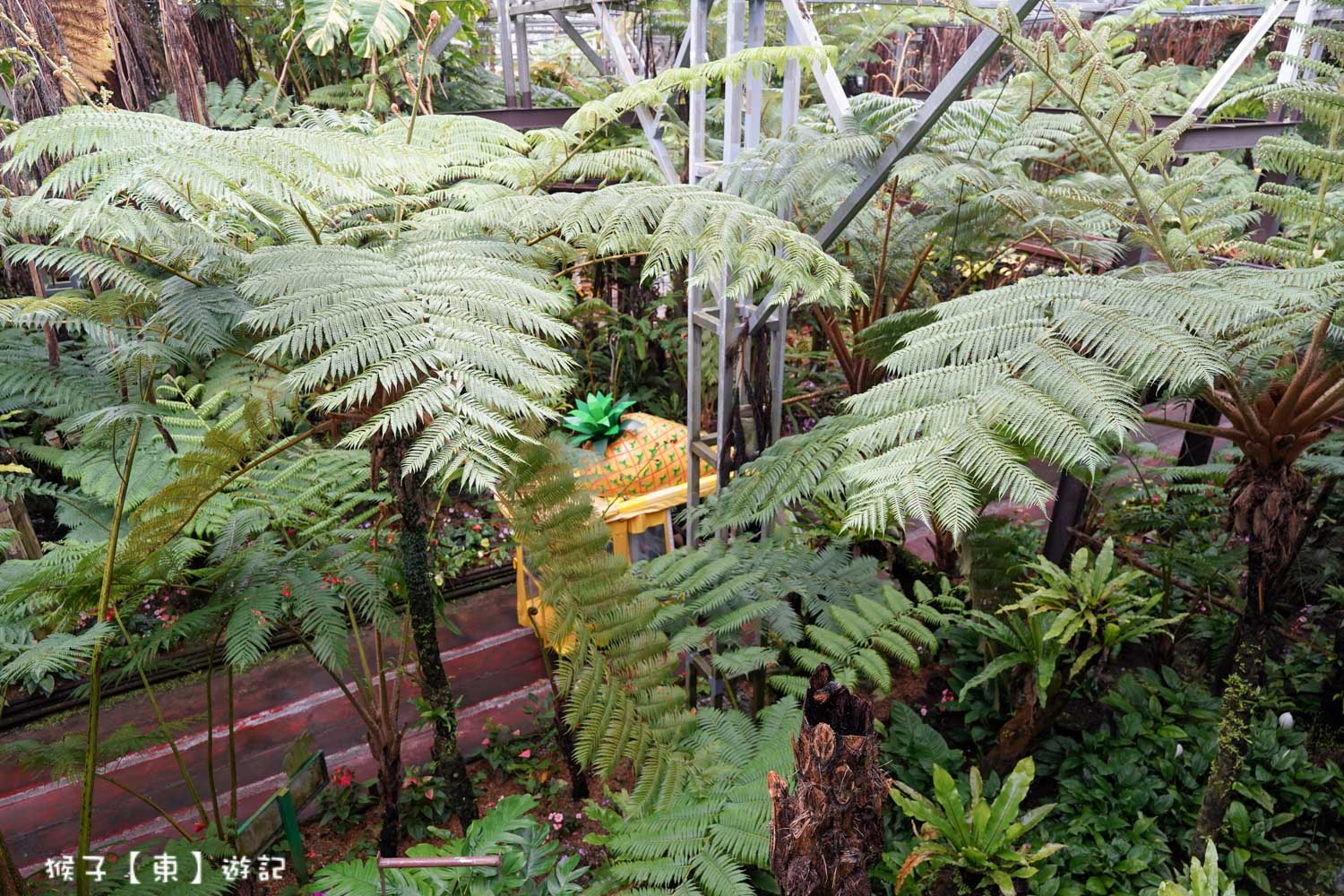  @猴子【東】遊記