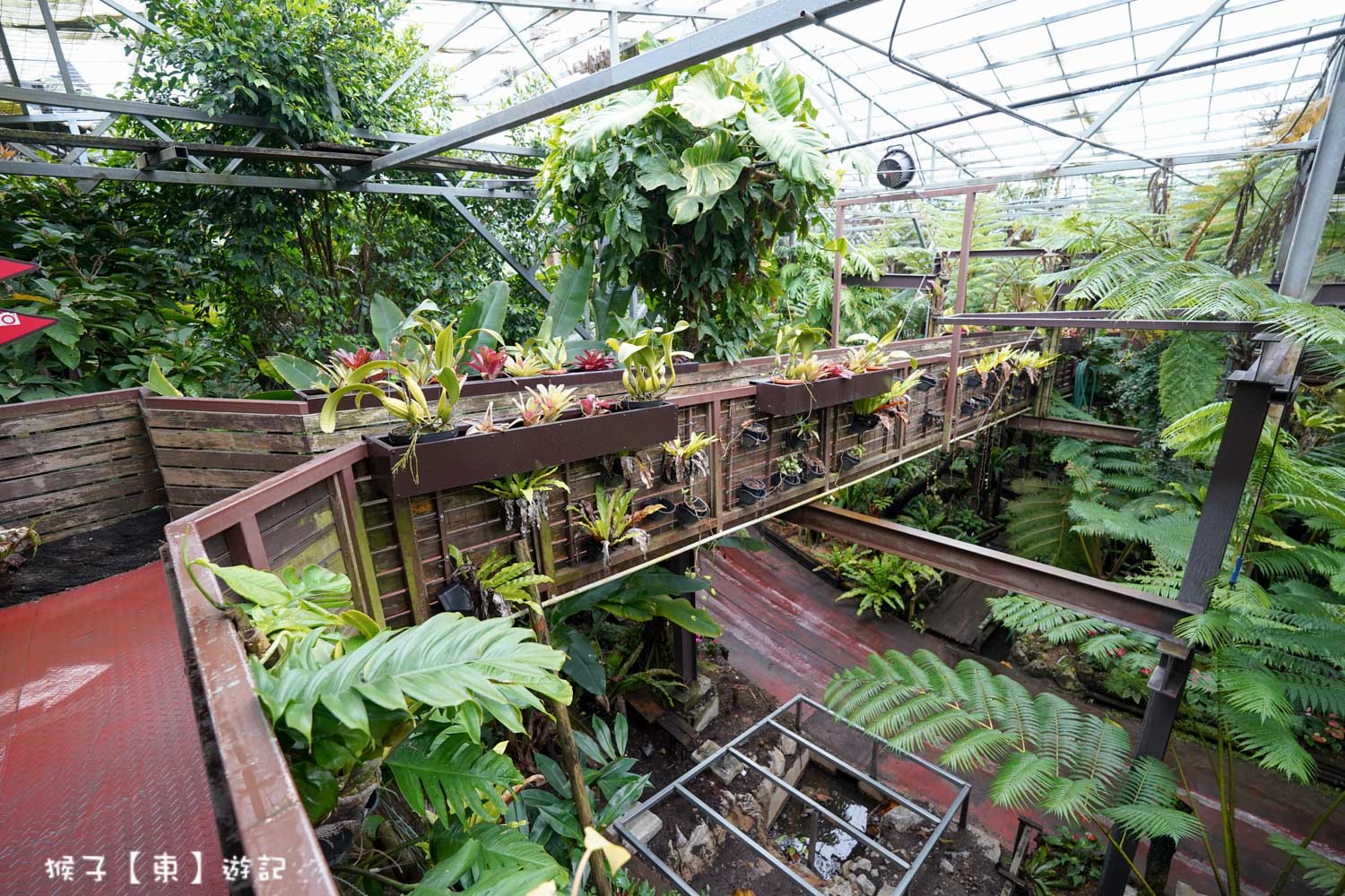  @猴子【東】遊記