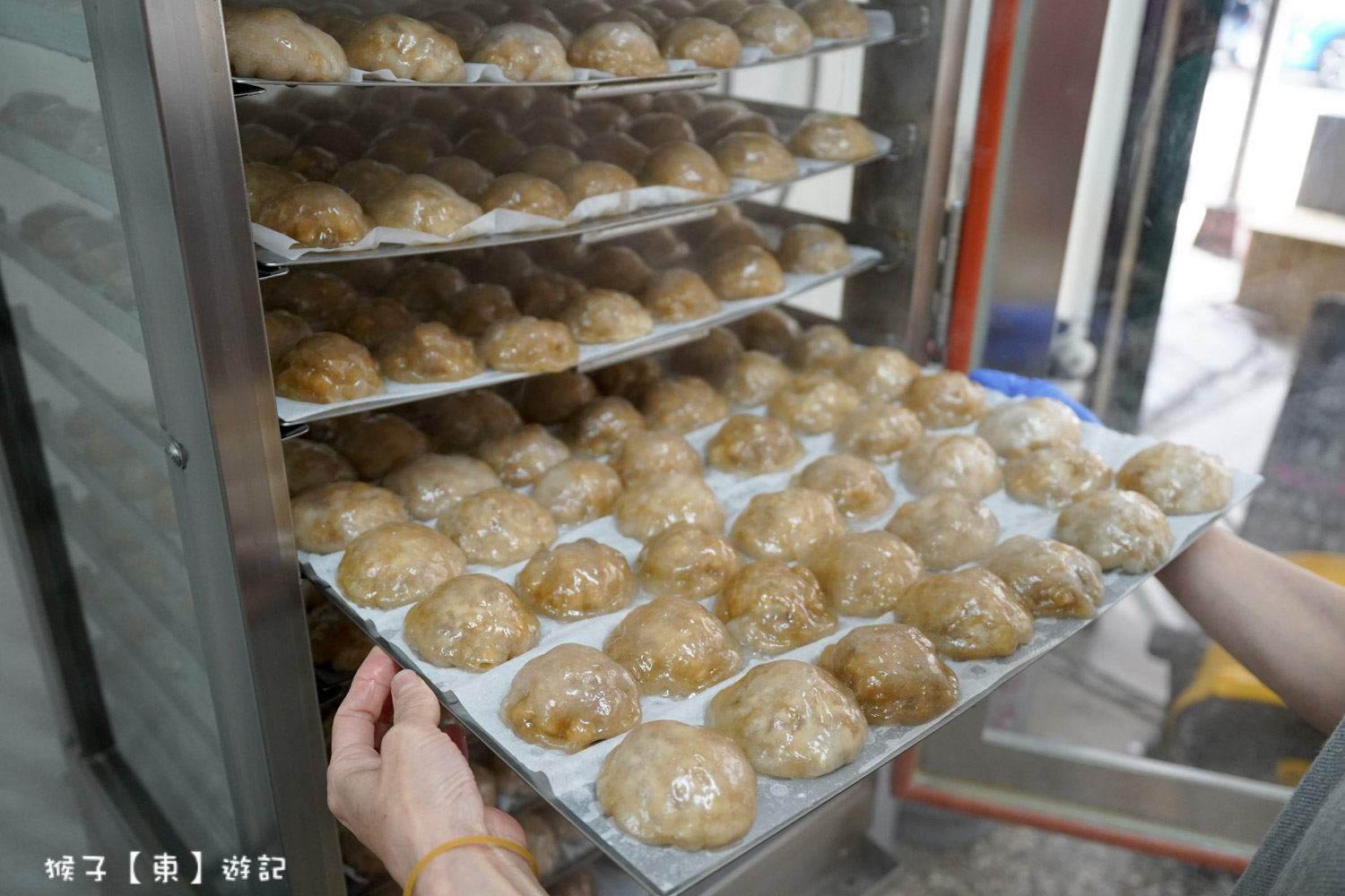 台中成功水晶餃