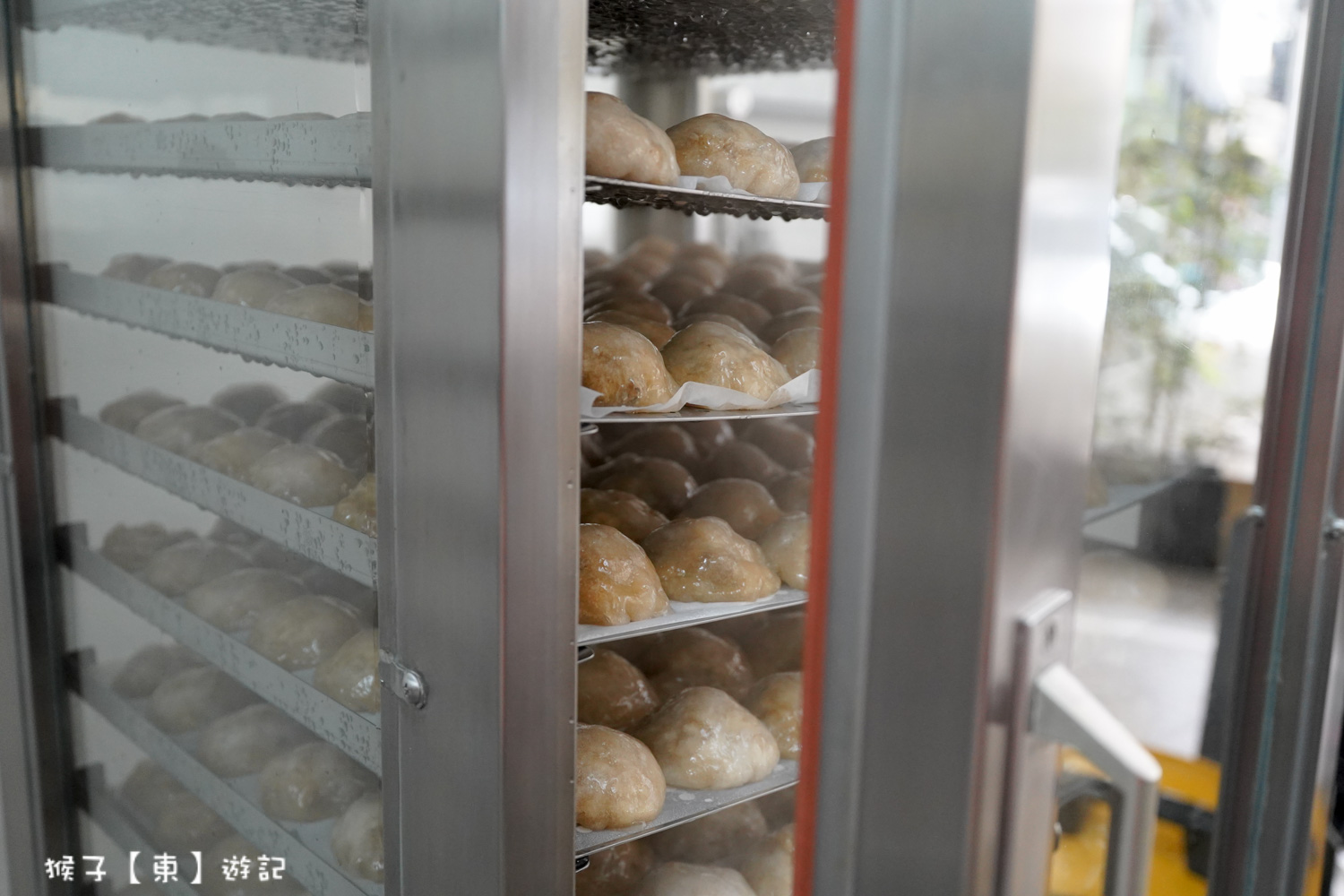  @猴子【東】遊記