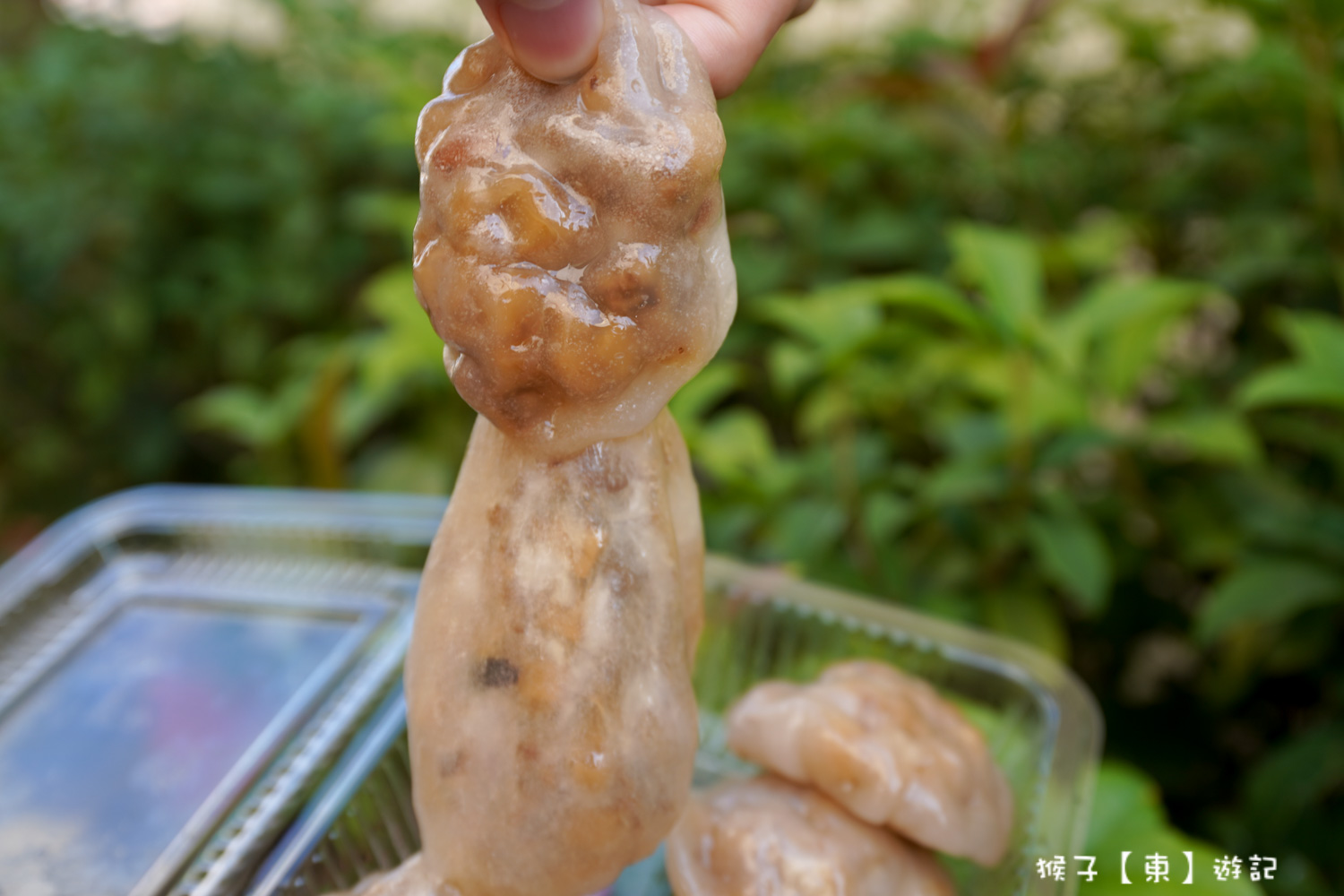  @猴子【東】遊記