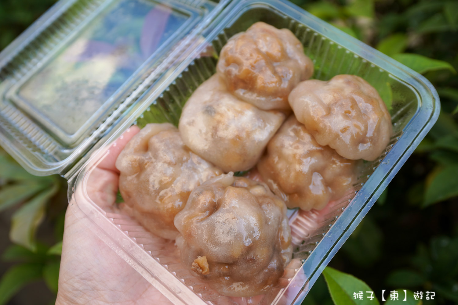 台中成功水晶餃