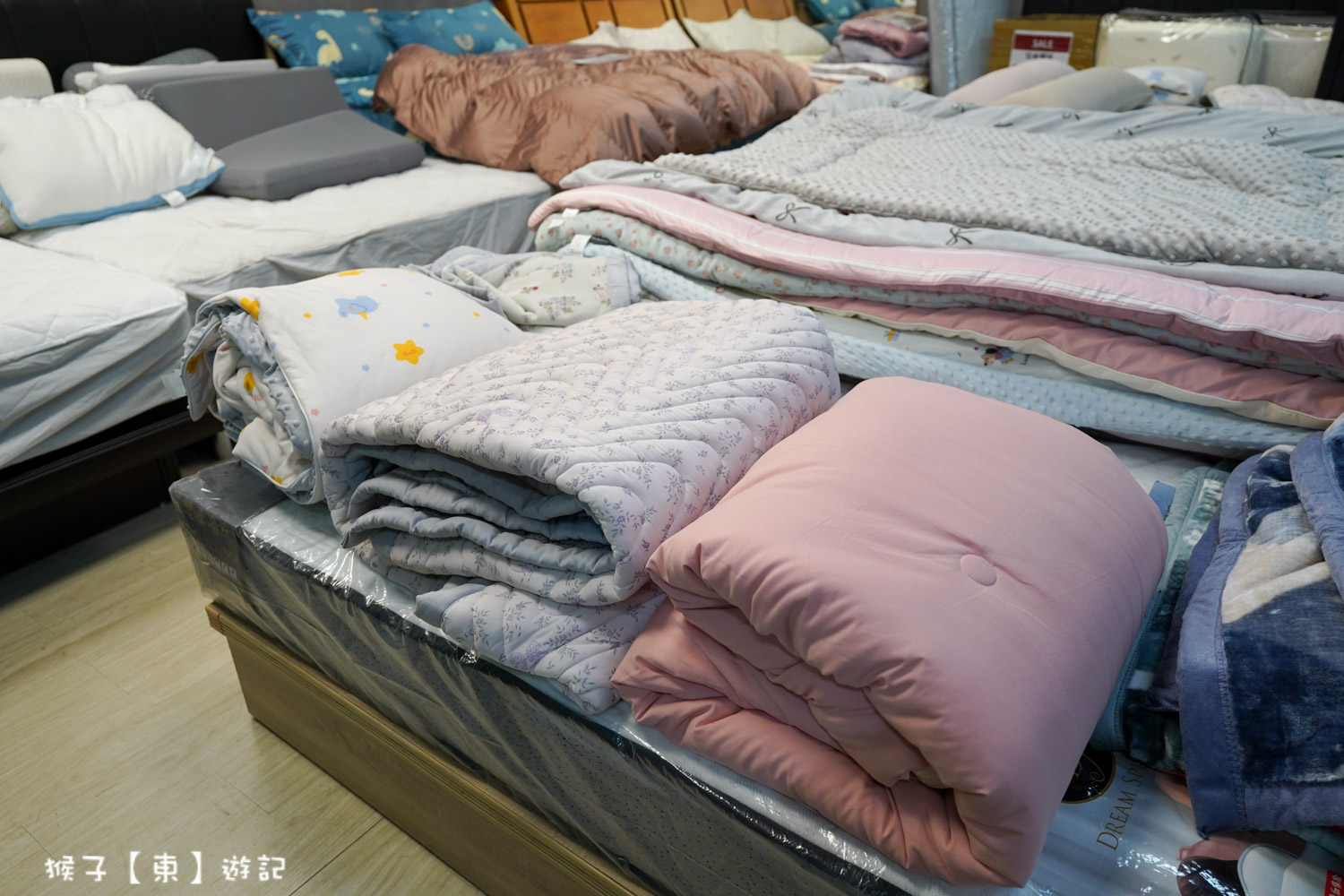  @猴子【東】遊記