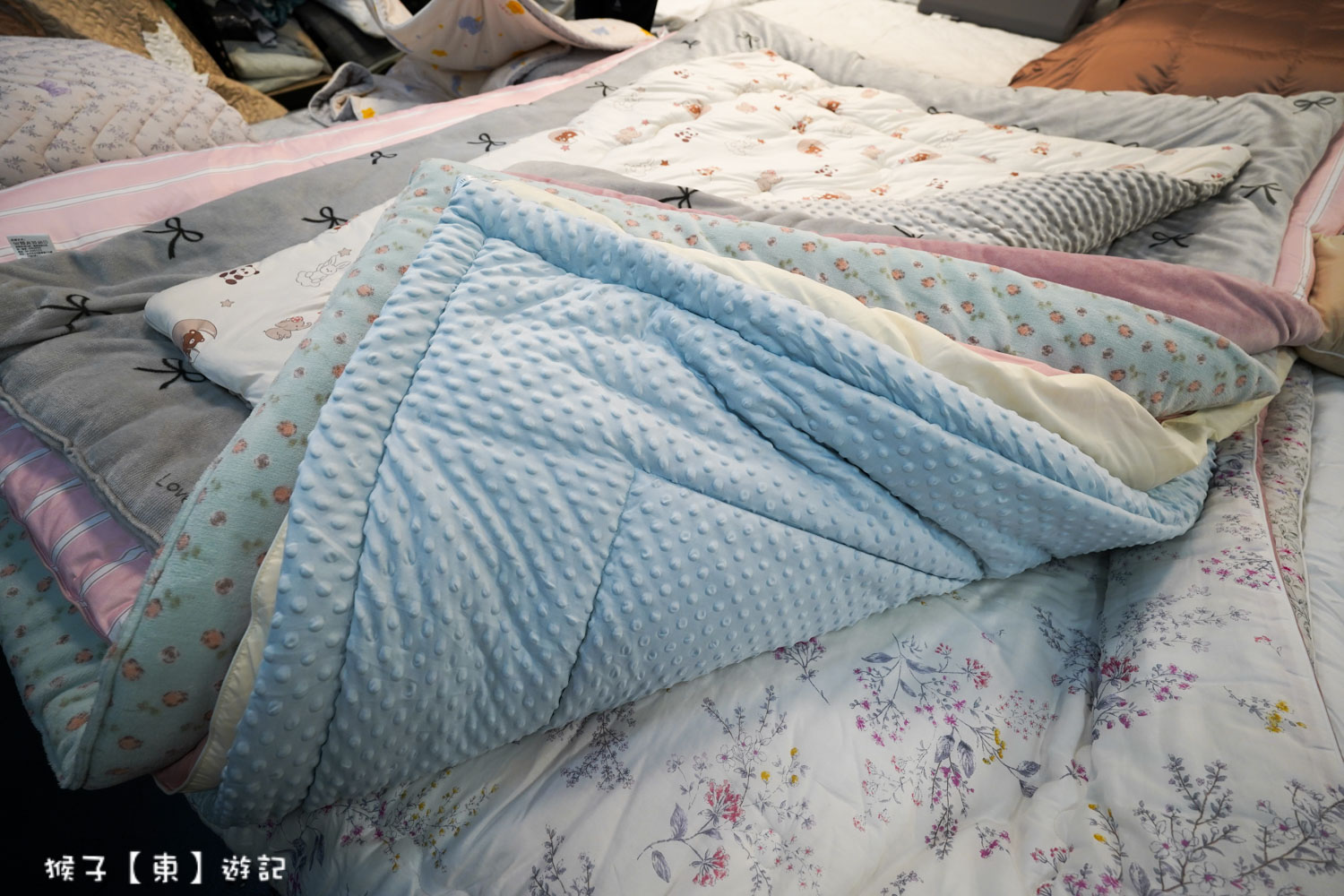  @猴子【東】遊記