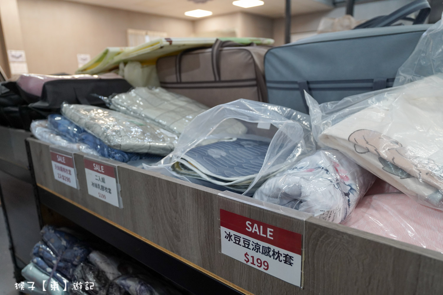  @猴子【東】遊記