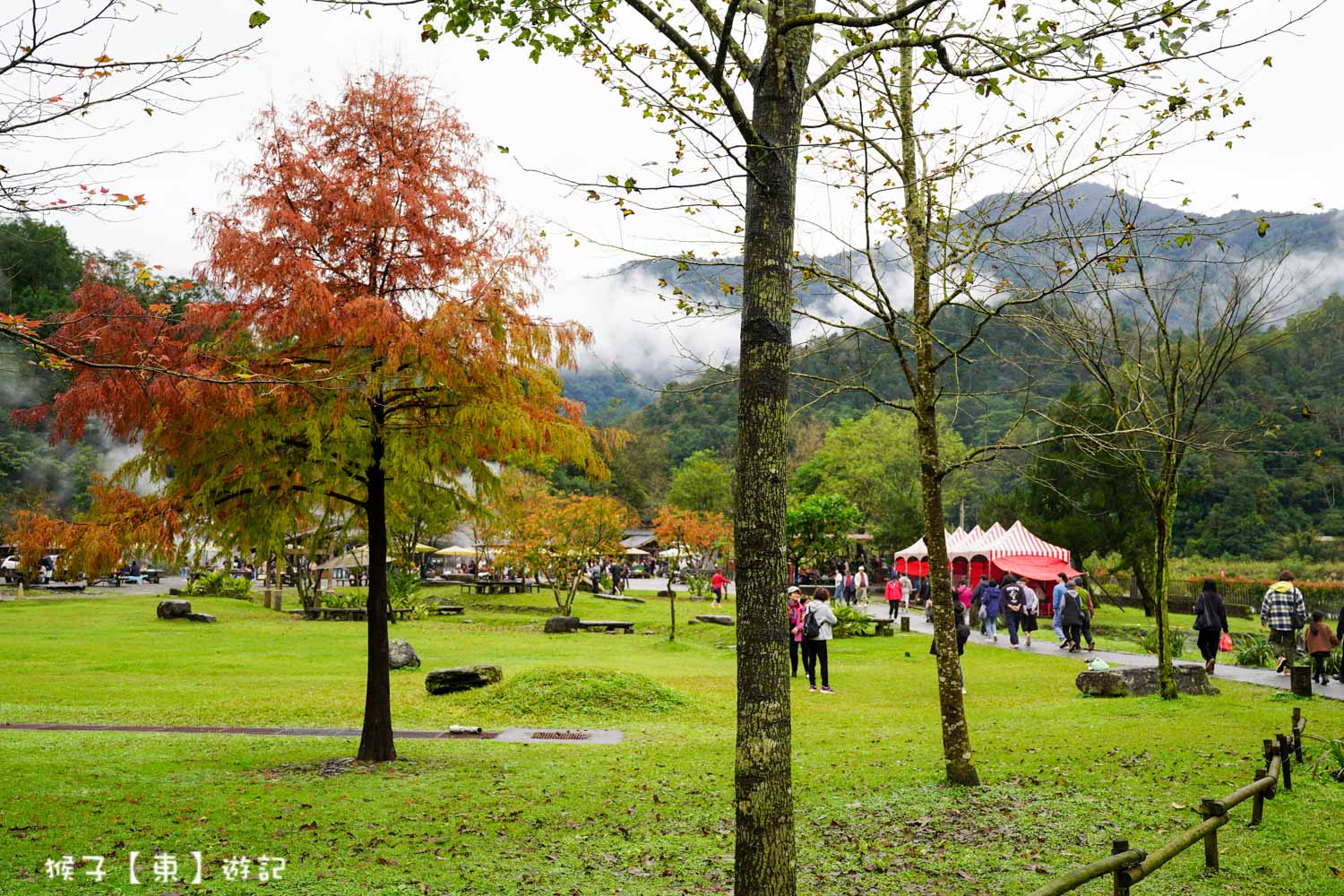  @猴子【東】遊記