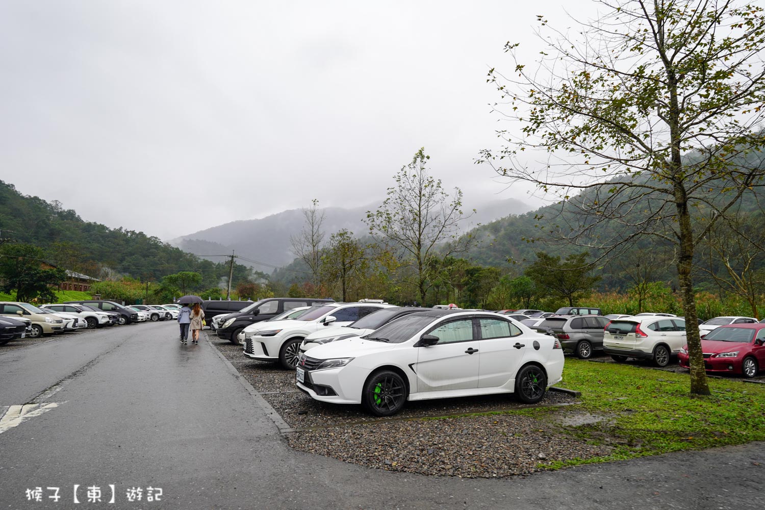  @猴子【東】遊記