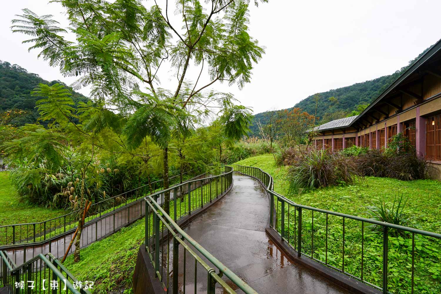  @猴子【東】遊記