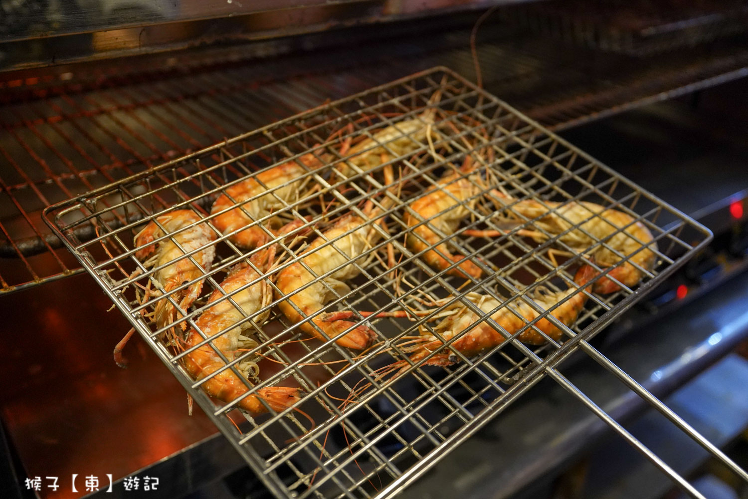  @猴子【東】遊記