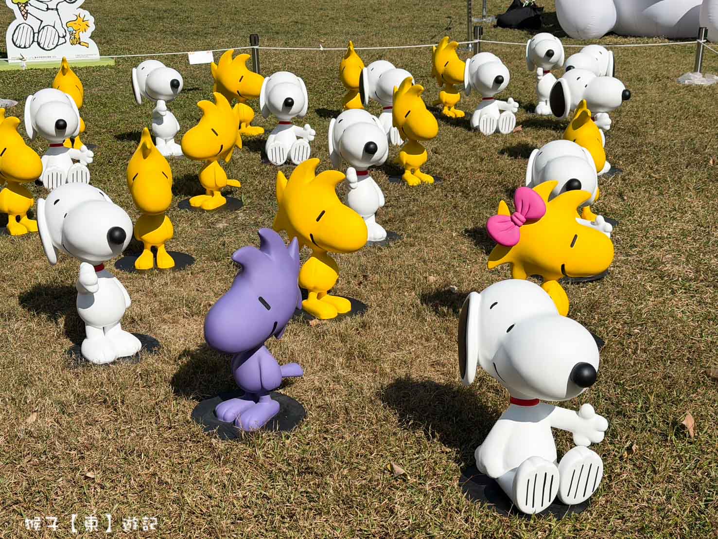  @猴子【東】遊記