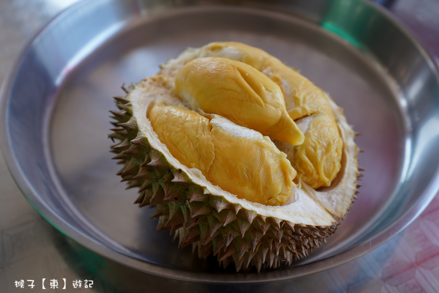 網站近期文章：[馬來西亞] 檳城旅遊必訪浮羅山背 榴槤產地 榴槤莊品種眾多 新鮮美味 景觀台眺望無敵美景