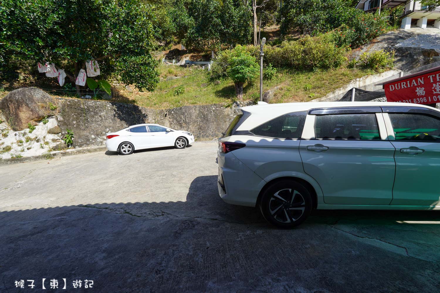  @猴子【東】遊記