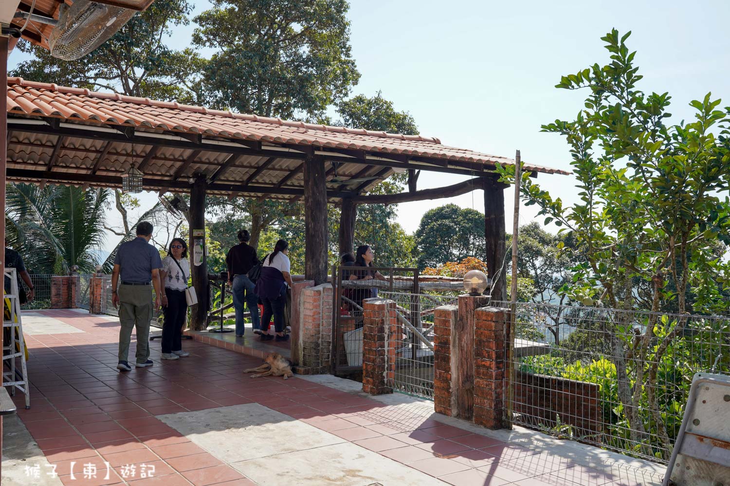  @猴子【東】遊記